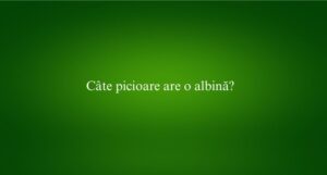 Câte picioare are o albină