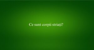 Ce sunt corpii striați