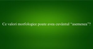 Ce valori morfologice poate avea cuvântul “asemenea”