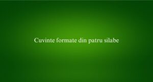 Cuvinte formate din patru silabe