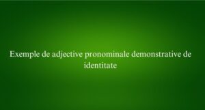 Exemple de adjective pronominale demonstrative de identitate