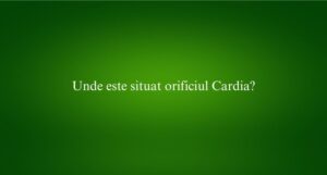 Unde este situat orificiul Cardia