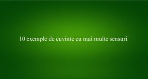 10 exemple de cuvinte cu mai multe sensuri