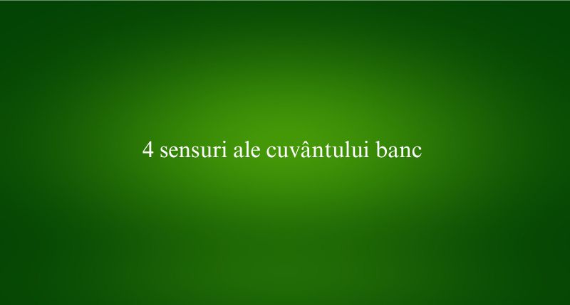 4 sensuri ale cuvântului banc​
