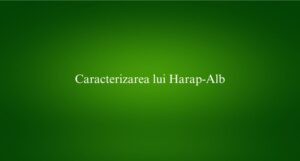 Caracterizarea lui Harap-Alb