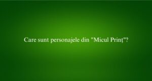 Care sunt personajele din Micul Prinț
