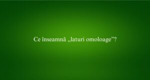 Ce înseamnă „laturi omoloage”