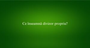 Ce înseamnă divizor propriu