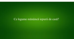 Ce legume mănâncă iepurii de casă