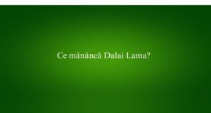 Ce mănâncă Dalai Lama