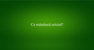 Ce mănâncă ariciul