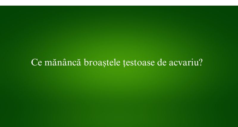 Ce mănâncă broaștele țestoase de acvariu