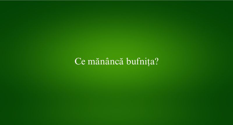 Ce mănâncă bufnița
