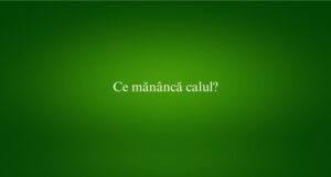 Ce mănâncă calul