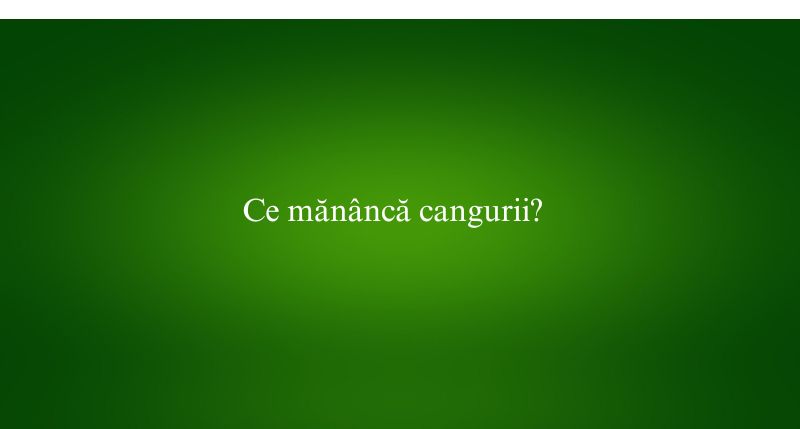 Ce mănâncă cangurii