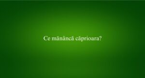 Ce mănâncă căprioara