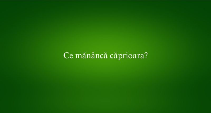 Ce mănâncă căprioara