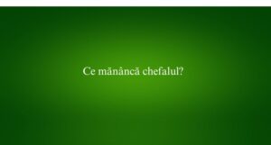 Ce mănâncă chefalul