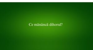 Ce mănâncă dihorul