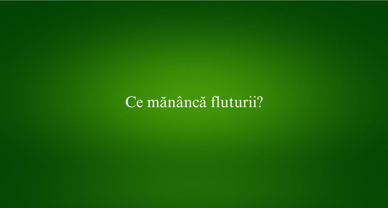 Ce mănâncă fluturii