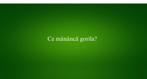 Ce mănâncă gorila