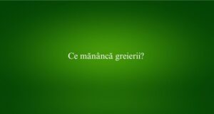 Ce mănâncă greierii