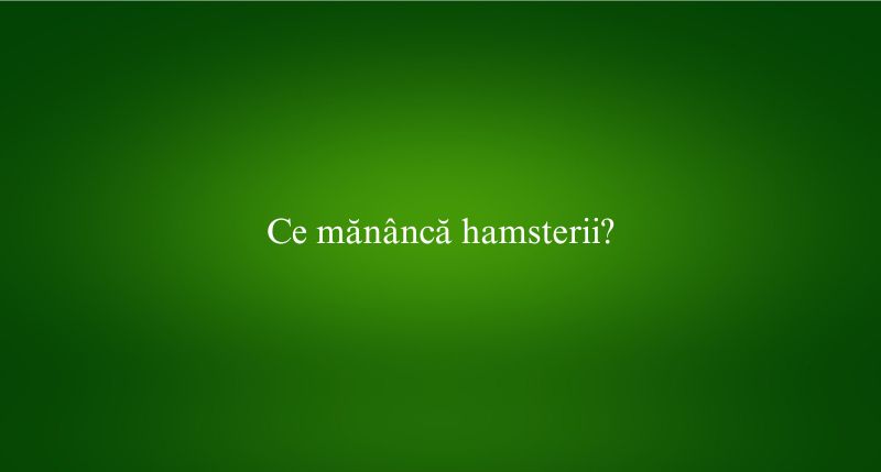 Ce mănâncă hamsterii