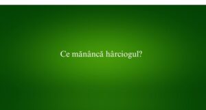 Ce mănâncă hârciogul