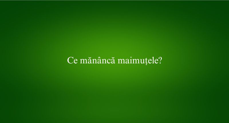 Ce mănâncă maimuțele