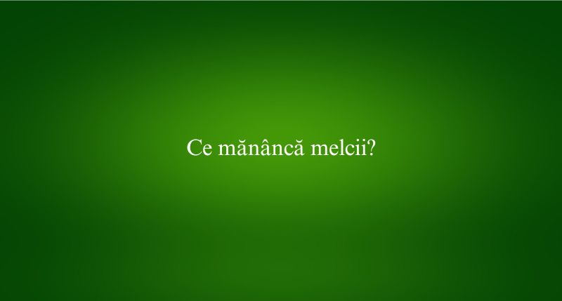 Ce mănâncă melcii