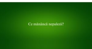 Ce mănâncă nepalezii