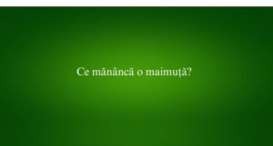 Ce mănâncă o maimuță