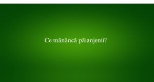 Ce mănâncă păianjenii