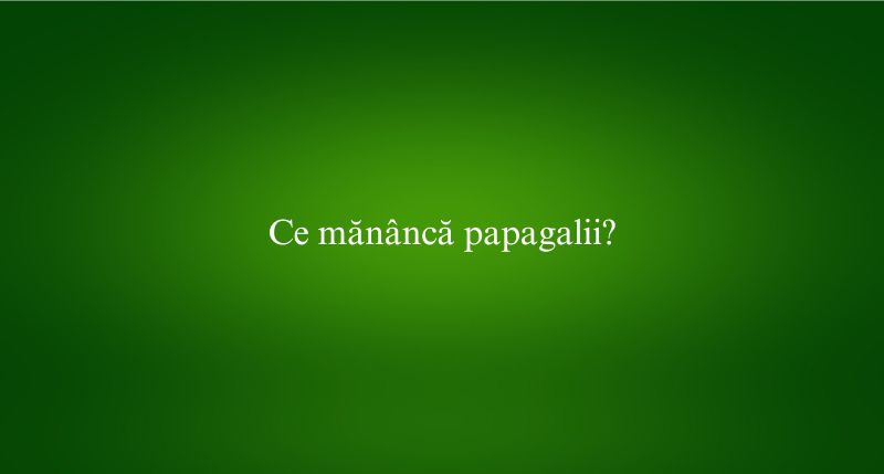 Ce mănâncă papagalii