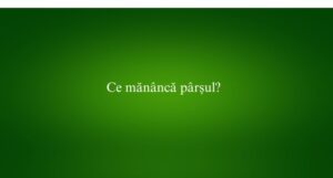 Ce mănâncă pârșul