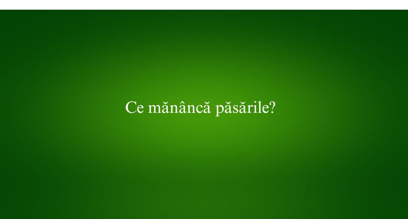 Ce mănâncă păsările