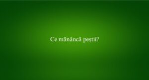 Ce mănâncă peștii