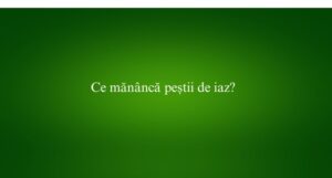 Ce mănâncă peștii de iaz