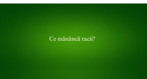 Ce mănâncă racii