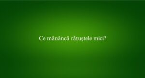 Ce mănâncă rățuștele mici