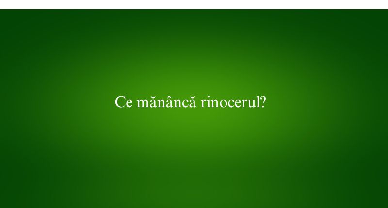 Ce mănâncă rinocerul