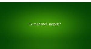 Ce mănâncă șarpele