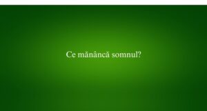 Ce mănâncă somnul