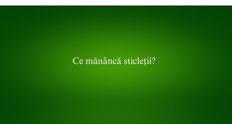 Ce mănâncă sticleții