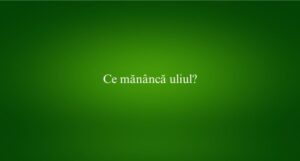 Ce mănâncă uliul