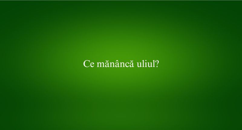 Ce mănâncă uliul
