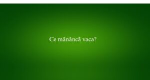 Ce mănâncă vaca