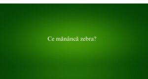 Ce mănâncă zebra