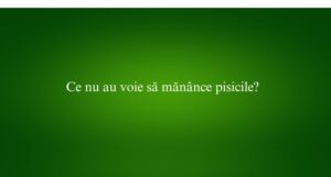 Ce nu au voie să mănânce pisicile