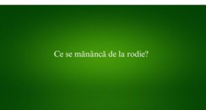 Ce se mănâncă de la rodie